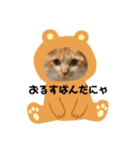 はにちゃみの毎日スタンプ（個別スタンプ：3）