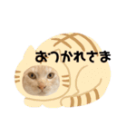 はにちゃみの毎日スタンプ（個別スタンプ：4）