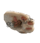 はにちゃみの毎日スタンプ（個別スタンプ：14）