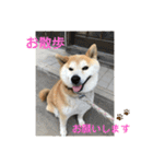 三宅家スタンプ（個別スタンプ：2）