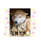 三宅家スタンプ（個別スタンプ：7）
