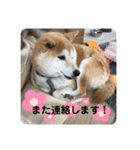 三宅家スタンプ（個別スタンプ：13）
