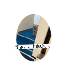ふく様（個別スタンプ：2）