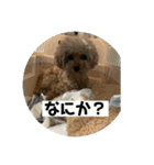 ふく様（個別スタンプ：4）