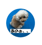 ふく様（個別スタンプ：14）