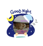 どうぶつ いろいろ（個別スタンプ：5）