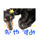 わんわんスタンプ〜第一弾〜（個別スタンプ：16）
