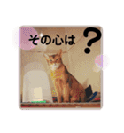 いちごスタンプ10（個別スタンプ：18）