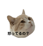 JBの気持ち［第5弾］（個別スタンプ：2）