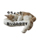 JBの気持ち［第5弾］（個別スタンプ：3）