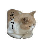 JBの気持ち［第5弾］（個別スタンプ：4）
