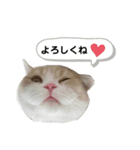 JBの気持ち［第5弾］（個別スタンプ：7）