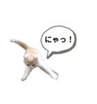 JBの気持ち［第5弾］（個別スタンプ：14）