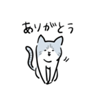 サバトラ猫 てっちゃんの日常 その3（個別スタンプ：1）