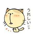 ぶちねこ 「みるくてぃ」（個別スタンプ：16）