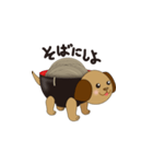 そばわんこ（個別スタンプ：1）