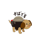 そばわんこ（個別スタンプ：3）