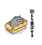 ボンレス猫 in うぃんた～（個別スタンプ：21）