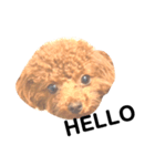 John6（個別スタンプ：3）