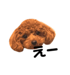 John5（個別スタンプ：6）