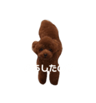 John5（個別スタンプ：7）