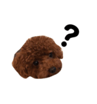 John5（個別スタンプ：8）