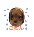 えーすのすたんぷ。（個別スタンプ：2）