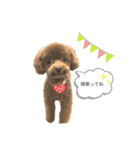 ときたむぎ2（個別スタンプ：4）