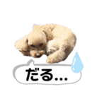 ビビ子のスタンプ②（個別スタンプ：10）