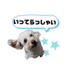 ビビ子のスタンプ②（個別スタンプ：18）