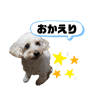 ビビ子のスタンプ②（個別スタンプ：19）