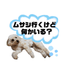 ビビ子のスタンプ②（個別スタンプ：29）