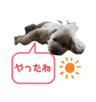 ビビ子のスタンプ②（個別スタンプ：31）