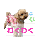 ビビ子のスタンプ②（個別スタンプ：33）