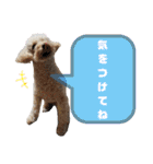ビビ子のスタンプ②（個別スタンプ：34）