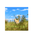 柴犬りんじろうの楽しい毎日2（個別スタンプ：6）