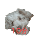 かりんちゃんが帰る時間を教えてくれる（個別スタンプ：1）