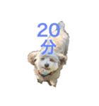 かりんちゃんが帰る時間を教えてくれる（個別スタンプ：2）