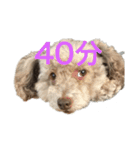 かりんちゃんが帰る時間を教えてくれる（個別スタンプ：4）