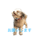 かりんちゃんが帰る時間を教えてくれる（個別スタンプ：6）