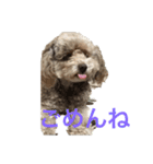 かりんちゃんが帰る時間を教えてくれる（個別スタンプ：7）