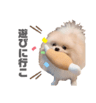 レオ＆ベル♡（個別スタンプ：1）