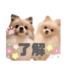 レオ＆ベル♡（個別スタンプ：5）