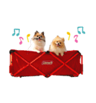 レオ＆ベル♡（個別スタンプ：6）