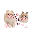レオ＆ベル♡（個別スタンプ：13）