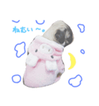 パグの生活（個別スタンプ：2）