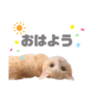 さくらちゃんスタンプ♡1（個別スタンプ：10）
