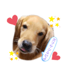 亡き愛犬…（個別スタンプ：5）