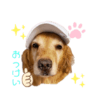 亡き愛犬…（個別スタンプ：7）