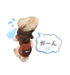 マルプーの杏ちゃん（個別スタンプ：16）